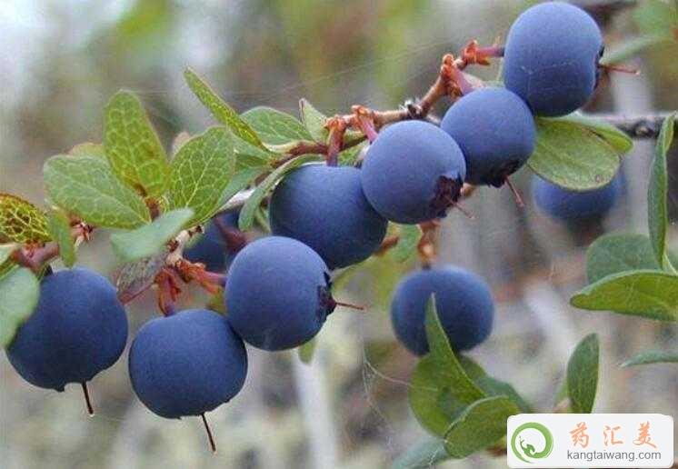 ׻֏ܳ{ݮ